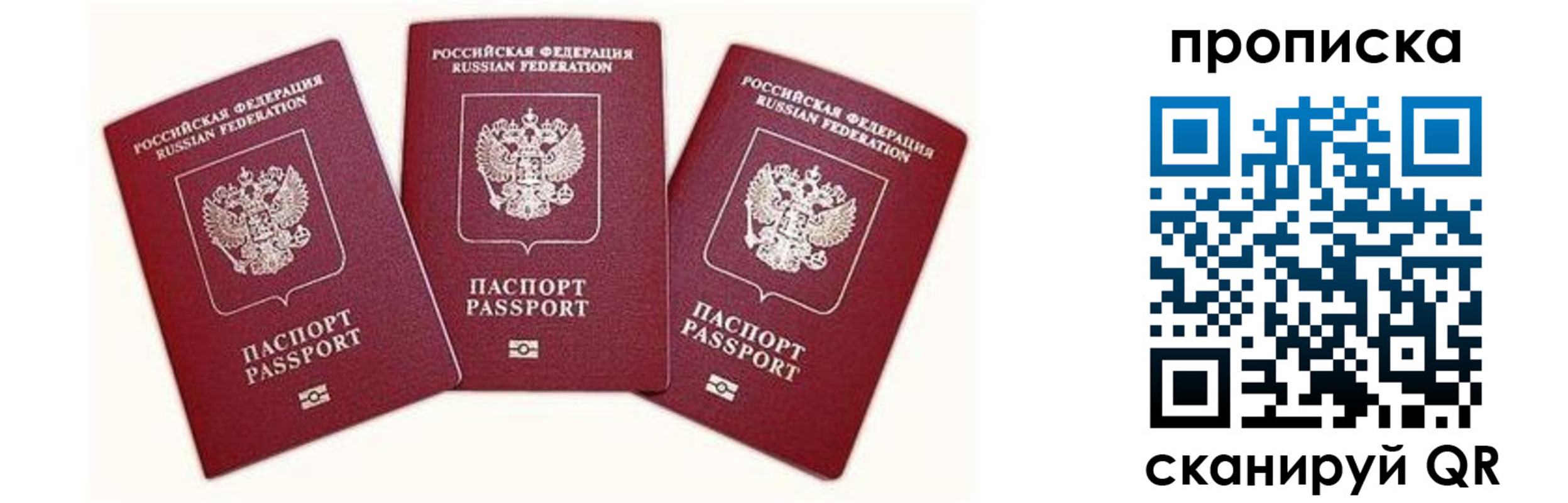 регистрация в Ивантеевке